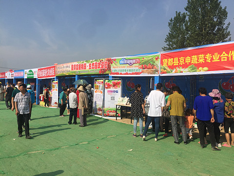 望都2017櫻桃文化旅游節(jié)暨農(nóng)副產(chǎn)品展銷會拉開帷幕，助力地方特色食品銷售